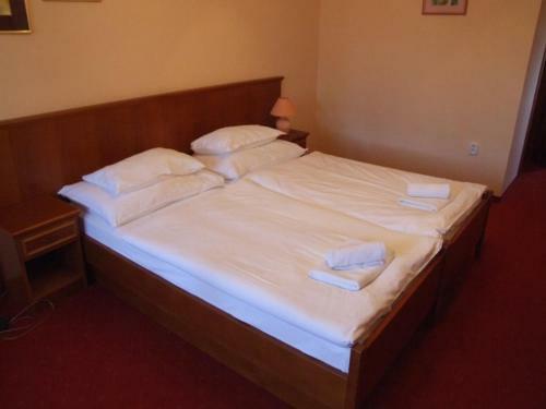 Hostal Penzion 77