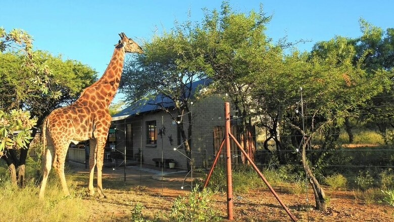 Posada Marulani Bush Lodge