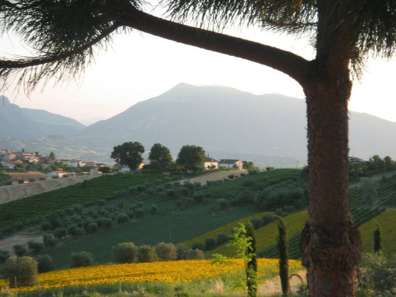 Agroturismo Agriturismo Villa Fiore