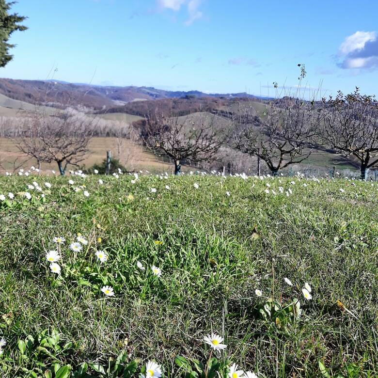 Agroturismo San Lorenzo Agriturismo
