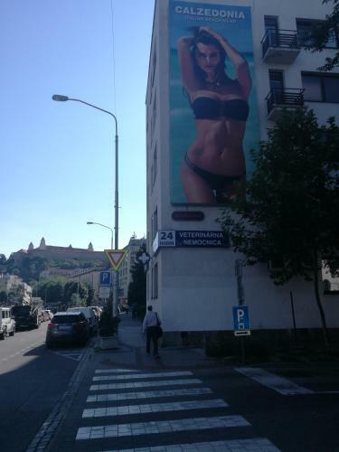 Apartman Maximilian