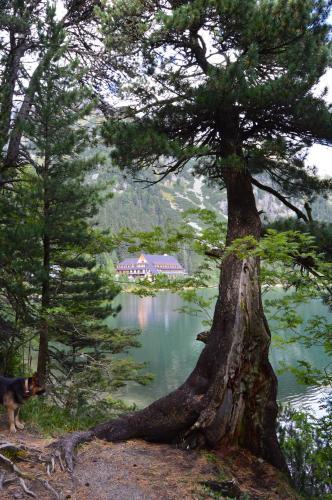 Horsky Hotel Popradske Pleso
