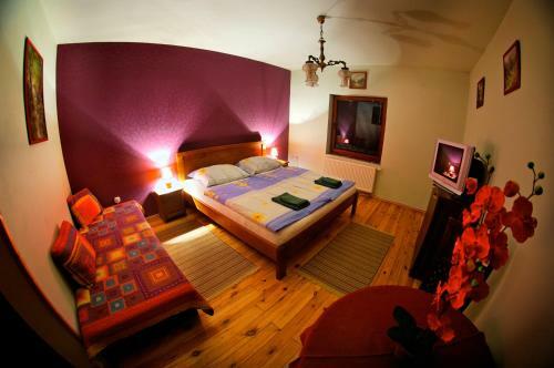 Hostal Penzion Plesnivec
