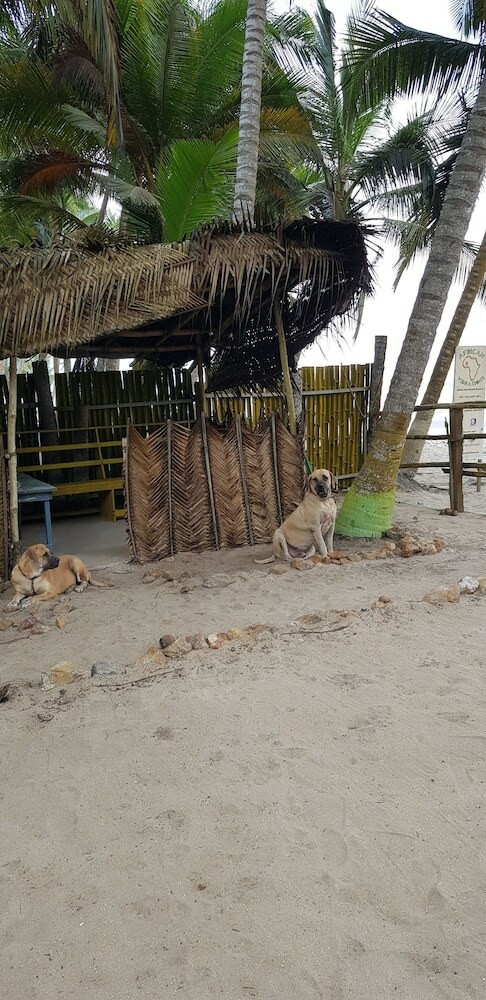 Hotel African Vibrations Beach Resort