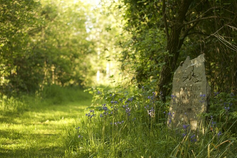 Bed & Breakfast Holwell Holistic Retreat - Adults Only