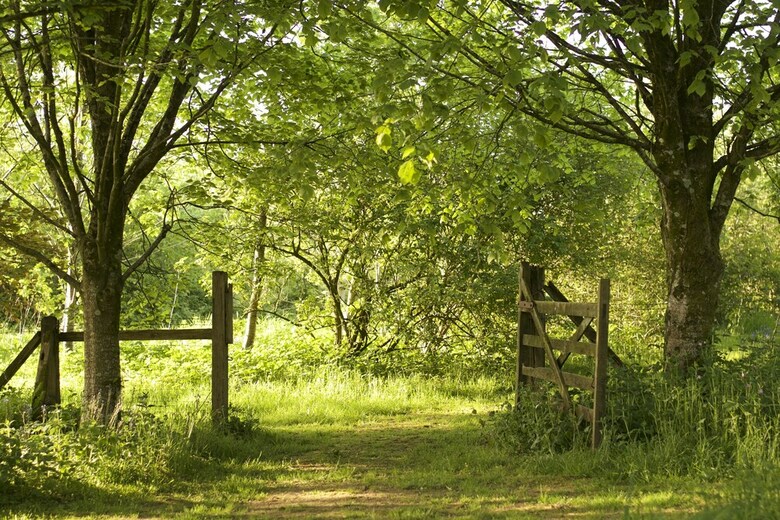 Bed & Breakfast Holwell Holistic Retreat - Adults Only