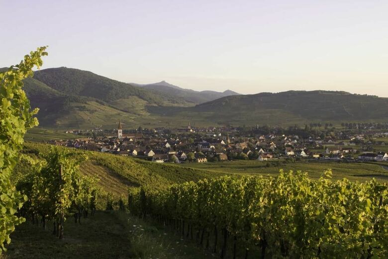 Hotel Les Chambres Du Vignoble - Domaine Adam