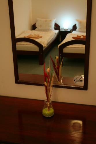 Bed & Breakfast Penzi�n Lux