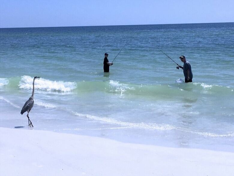 Apartamento The Anna Maria Island Beach Breeze