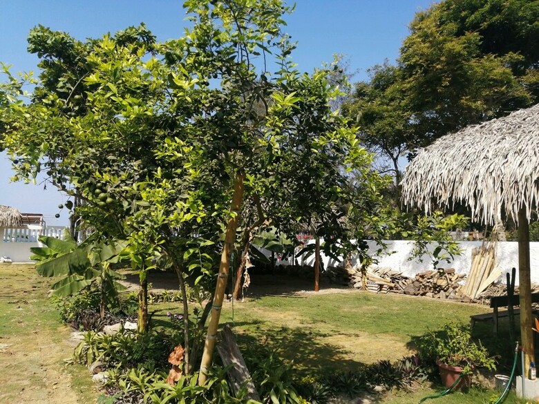 Hotel Vikara