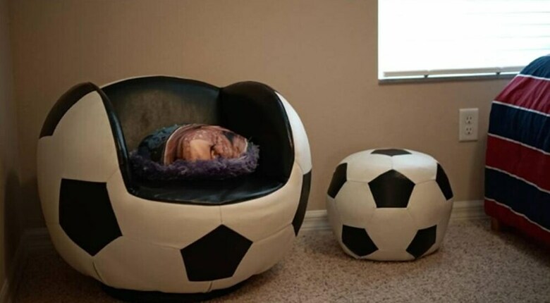 Apartamento Tranquil Retreat