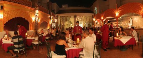 Camel Dive Club & Hotel (boutique Hotel)