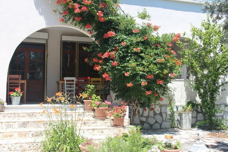 Bed & Breakfast Ada-art Guesthouse