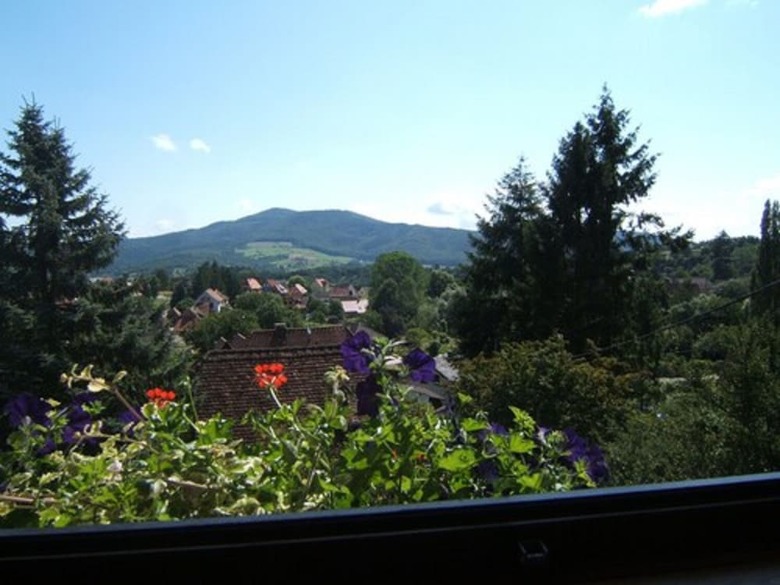 Bed & Breakfast Maison D'hotes La Maison Fleurie