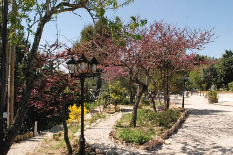 Bed & Breakfast Briciola Di Sole