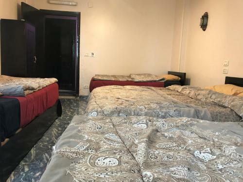 Wake Up! Cairo Hostel