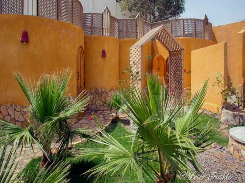Hotel Dive Urge