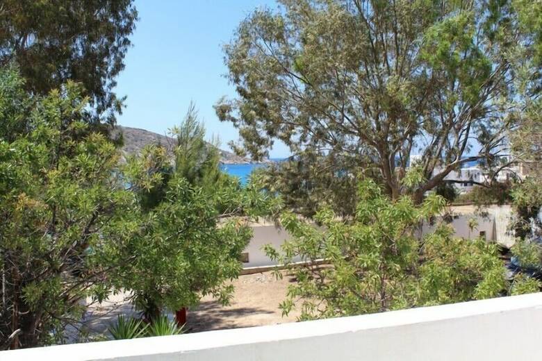 Hostal The Purple Pig Stars Camping & Bungalows