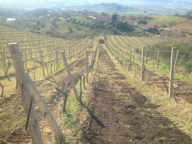 Agroturismo Agriturismo Pingitore