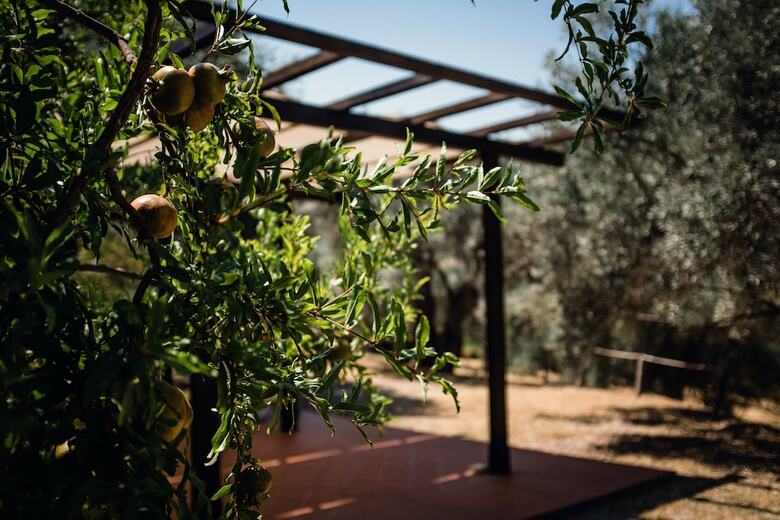 Hotel Masseria Maggiore