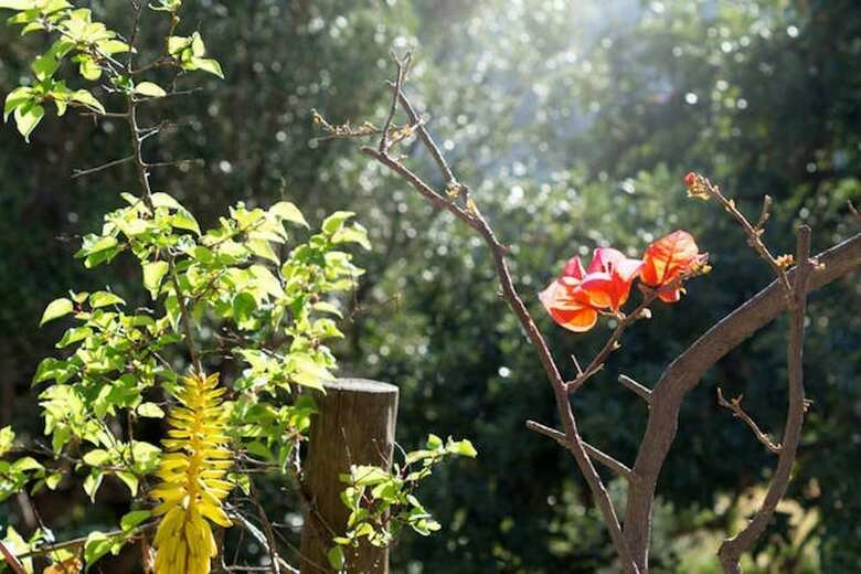 Agroturismo Natura Cottages