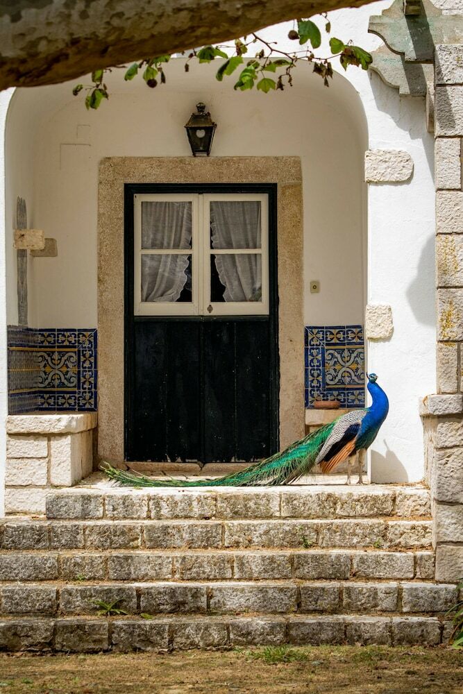 Bed & Breakfast Quinta Da Foz
