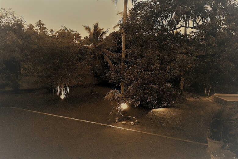 Hotel Villa South