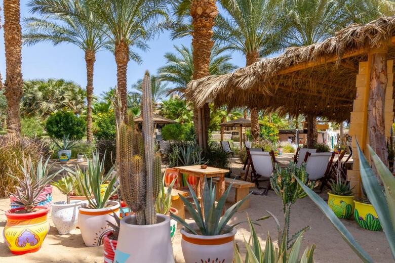 Hotel Fort Arabesque Resort, Spa & Villas