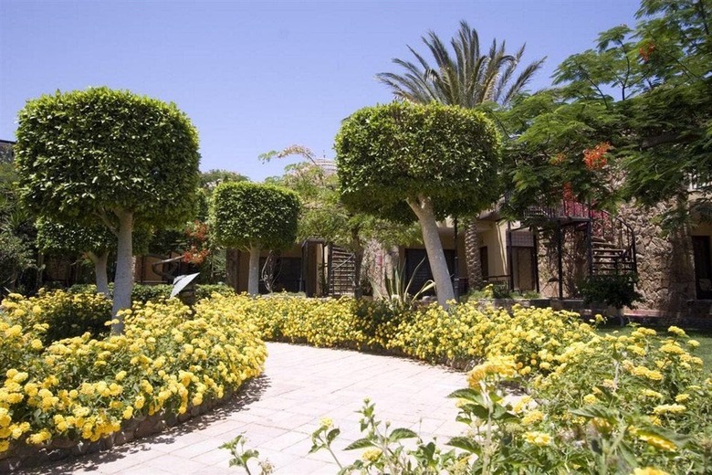 Hotel Jewels Sahara Boutique Resort
