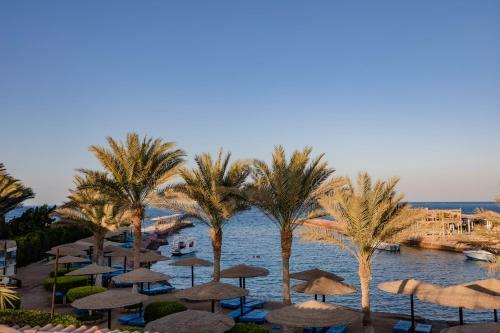 Hotel Sand Beach Resort