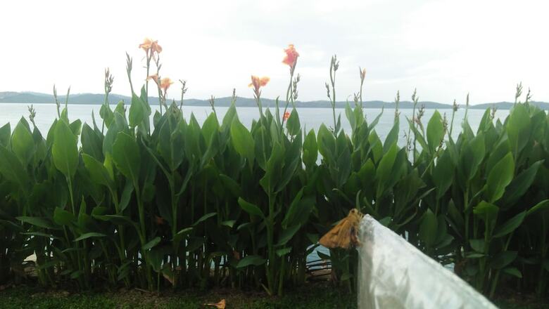 Bed & Breakfast Barelang Bridge Hotel