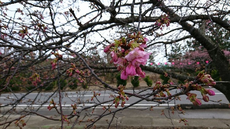 Hotel Shirako Sunrise Otsuka