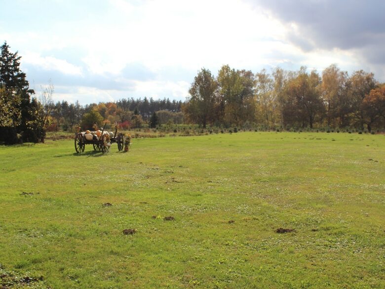 Quaint Holiday Home In Schenkend�bern On A Farm