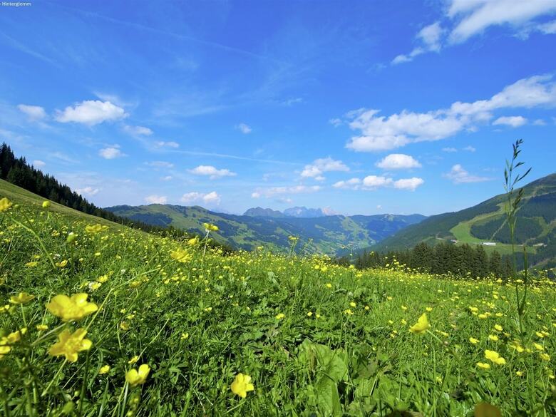 Luxurious Holiday Home In Saalbach-hinterglemm With Sauna