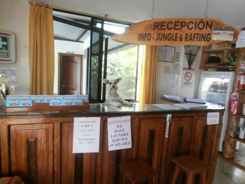 Bed & Breakfast Hostal Limoncocha