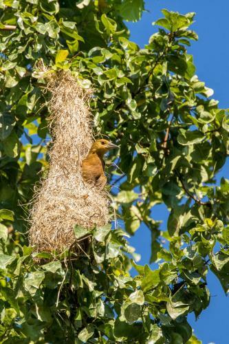 Anaconda Lodge Ecuador