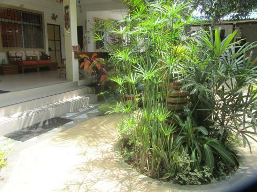 Hosteria Barlovento B&B