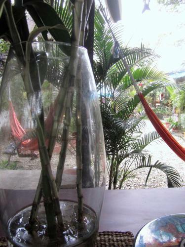 Hosteria Barlovento B&B