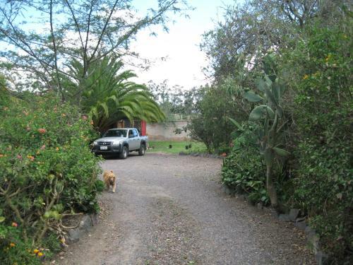 Arie's Cabin