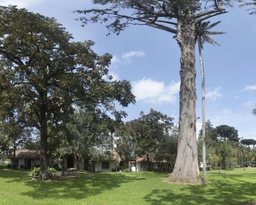 Garden Hotel San Jos� Aeropuerto