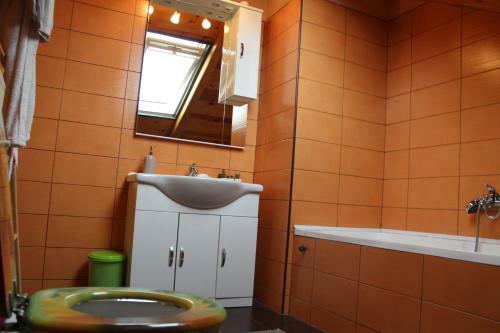 Apartment Ru?ica