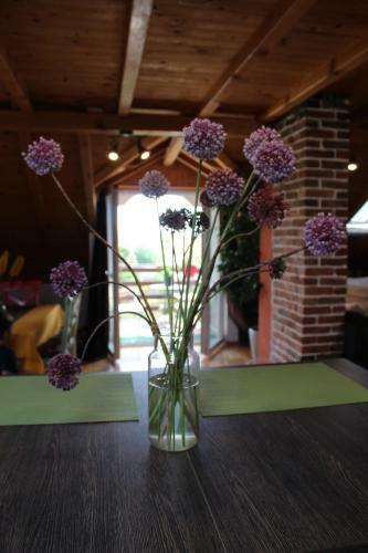 Apartment Ru?ica
