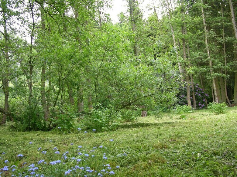 Gorgeous Holiday Home In Bodenbach Eifel With Garden