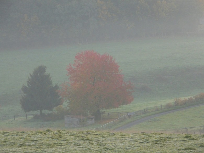 Gorgeous Holiday Home In Bodenbach Eifel With Garden