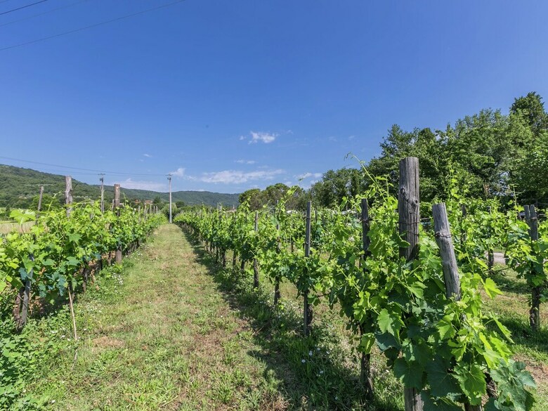 Spacious Holiday Home In Bucine With Private Pool