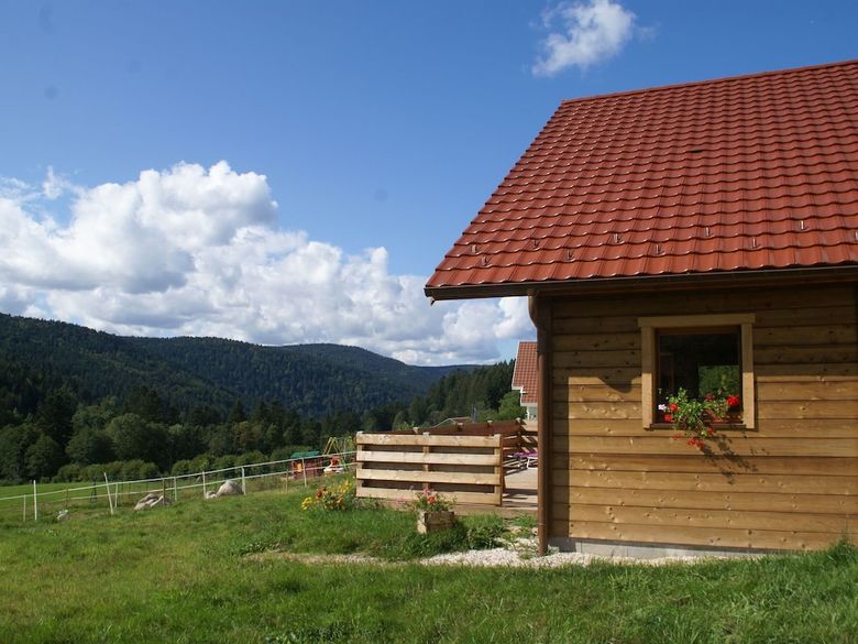 Sunlit Chalet Near Ski Area In G�rardmer