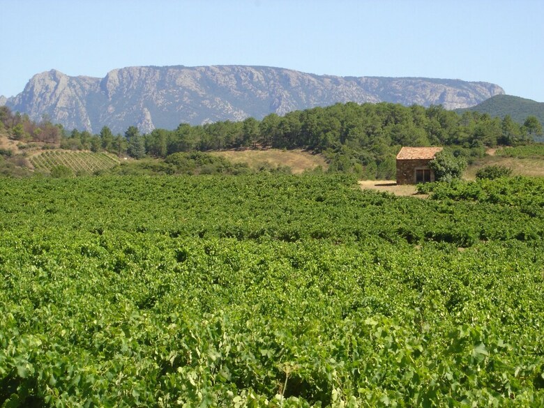 Delighful Villa In Berlou With Private Swimming Pool