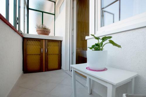 Apartment Cvetje