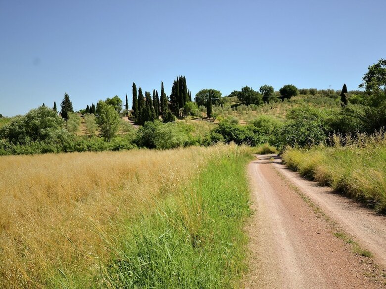 Cozy Holiday Home In Montecastelli Pisano With Balcony