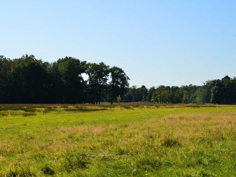 Peaceful Bungalow In Voorthuizen With Private Garden